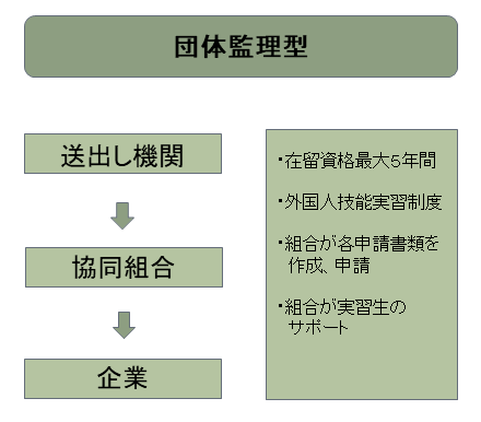 技能実習制度-団体監理型