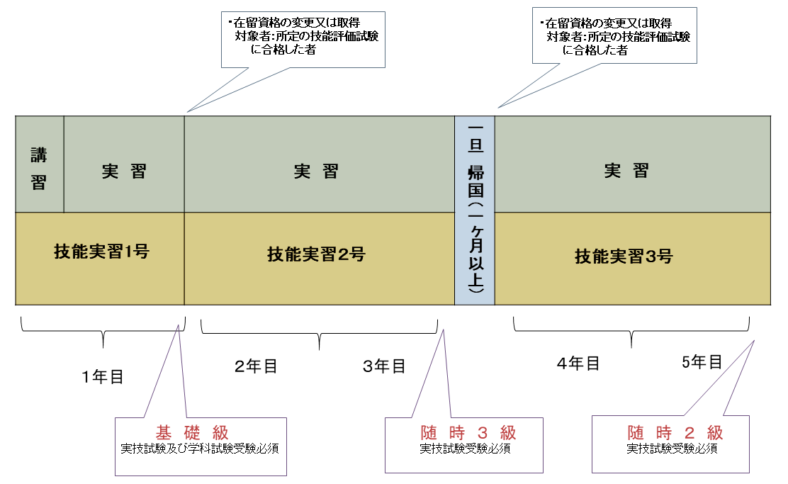 技能実習の流れ