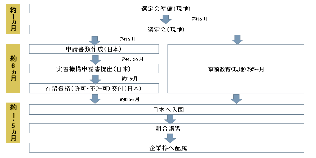 入国・配属までの時詣系列